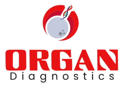 Organ Diagnostic